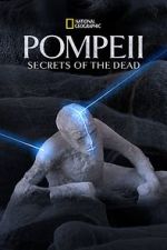 Watch Pompeii: Secrets of the Dead (TV Special 2019) Zumvo