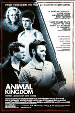 Watch Animal Kingdom Zumvo