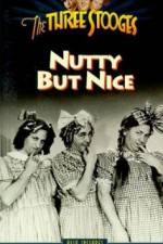 Watch Nutty But Nice Zumvo