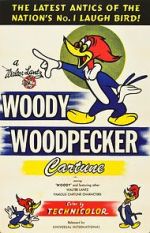 Watch The Woody Woodpecker Polka Zumvo