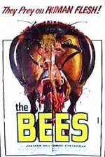 Watch The Bees Zumvo