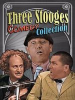 Watch Three Stooges Comedy Collection Zumvo