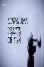 Watch Edwardian Insects on Film Zumvo