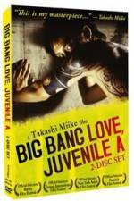 Watch Big Bang Love Juvenile A Zumvo