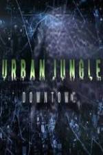 Watch National Geographic Wild Urban Jungle Downtown Zumvo