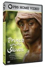 Watch Prince Among Slaves Zumvo