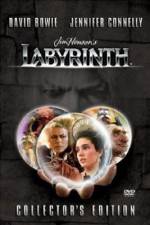 Watch Labyrinth Zumvo