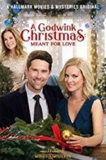 Watch A Godwink Christmas: Meant for Love Zumvo