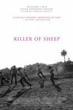 Watch Killer of Sheep Zumvo