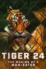 Watch Tiger 24 Zumvo