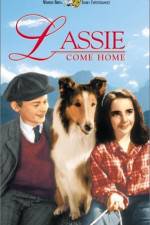 Watch Lassie Come Home Zumvo