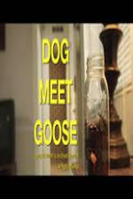 Watch Dog Meet Goose Zumvo