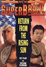 Watch WCW SuperBrawl I Zumvo