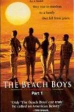 Watch The Beach Boys An American Family Zumvo