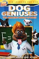 Watch Dog Geniuses Zumvo