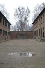 Watch Made in Auschwitz: The Untold Story of Block 10 Zumvo