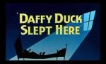 Watch Daffy Duck Slept Here (Short 1948) Zumvo