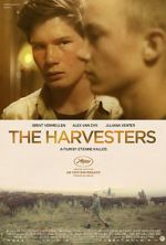 Watch The Harvesters Zumvo