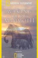 Watch Waking the Baby Mammoth Zumvo