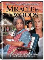 Watch Miracle in the Woods Zumvo