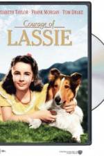 Watch Courage of Lassie Zumvo