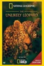 Watch Unlikely Leopard Zumvo