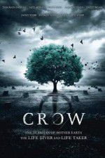 Watch Crow Zumvo