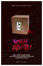 Watch Special Delivery Zumvo