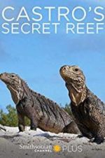 Watch Castro\'s secret reef Zumvo