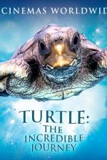 Watch Turtle The Incredible Journey Zumvo