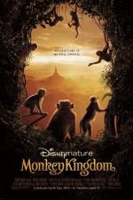 Watch Monkey Kingdom Zumvo