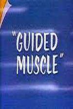 Watch Guided Muscle Zumvo