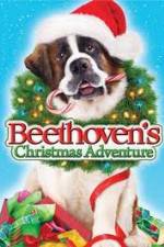 Watch Beethoven's Christmas Adventure Zumvo