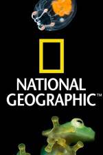 Watch National Geographic Wild Dam Beavers Zumvo