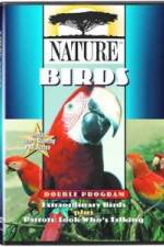 Watch PBS Nature - Extraordinary Birds Zumvo