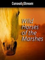 Watch Wild Horses of the Marshes Zumvo