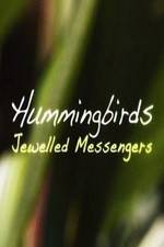 Watch Hummingbirds Jewelled Messengers Zumvo