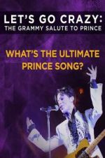 Watch Let\'s Go Crazy: The Grammy Salute to Prince Zumvo