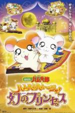 Watch Hamtaro: The Captive Princess Zumvo