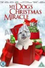 Watch My Dog's Christmas Miracle Zumvo