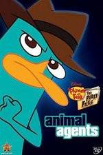 Watch Phineas And Ferb Animal Agents Zumvo