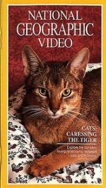 Watch Cats: Caressing the Tiger Zumvo