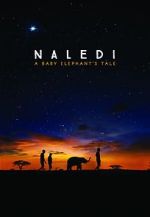 Watch Naledi: A Baby Elephant\'s Tale Zumvo