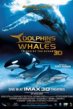 Watch Dolphins and Whales 3D Tribes of the Ocean Zumvo