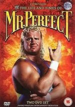 Watch The Life and Times of Mr. Perfect Zumvo