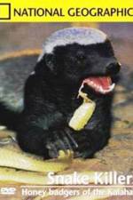 Watch National Geographic: Snake Killers Honey Badgers Of The Kalahari Zumvo