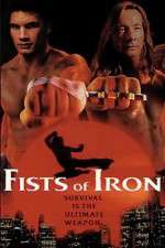 Watch Fists of Iron Zumvo