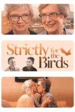 Watch Strictly for the Birds Zumvo