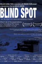 Watch Blind Spot Zumvo