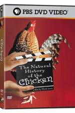 Watch The Natural History of the Chicken Zumvo